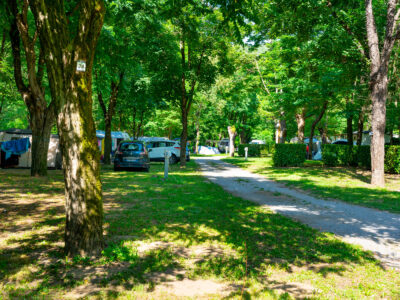 Les emplacements du camping